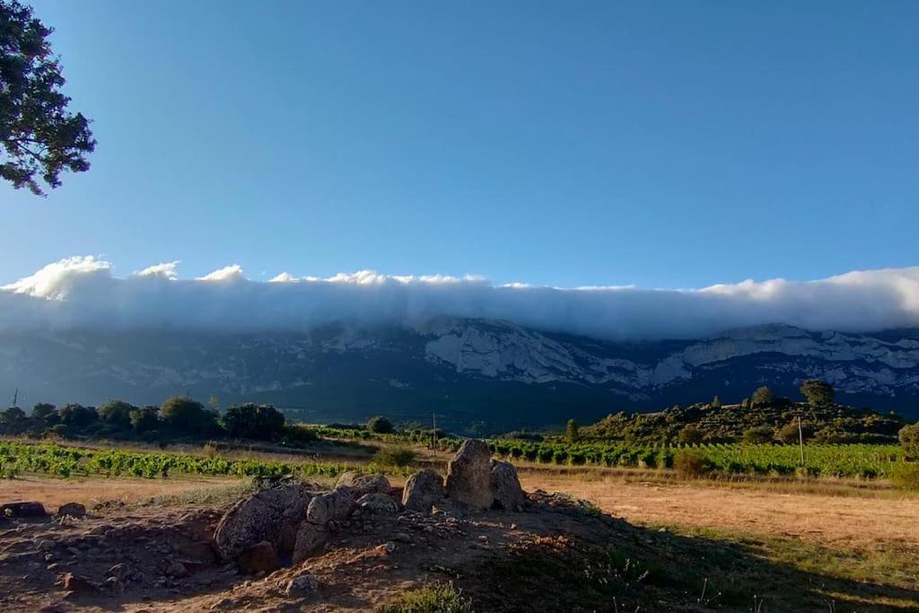 Zaldivar Etxea Leza Buitenkant foto