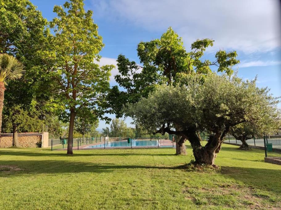 Zaldivar Etxea Leza Buitenkant foto